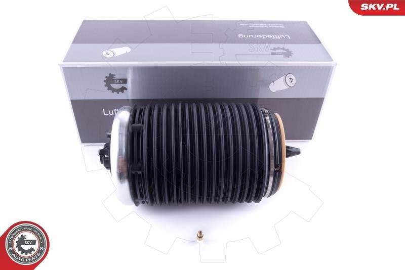 ESEN SKV 58SKV017 Õhkpadi A6 RS6 performance 4.0 quattro 605 HP Bensiin 2018
