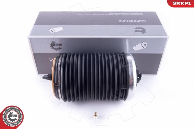 ESEN SKV 58SKV018 Õhkpadi A6 RS6 performance 4.0 quattro 605 HP Bensiin 2018