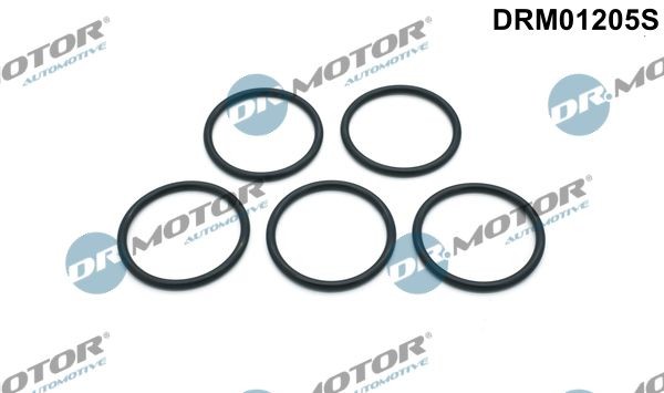 DR.MOTOR AUTOMOTIVE Pakningssæt, vandpumpe Varenummer: DRM01205S billige
