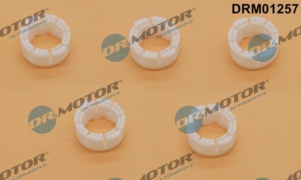 DR.MOTOR AUTOMOTIVE DRM01257 Douille, levier de vitesse Série 3 M3 CS 460 CH Essence 2018