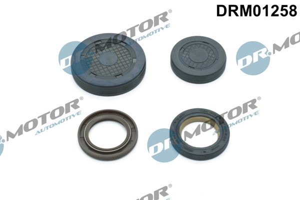 DR.MOTOR AUTOMOTIVE DRM01258 Plug, rocker arm shaft mounting bore TWINGO 1.6 RS 133 PS Petrol