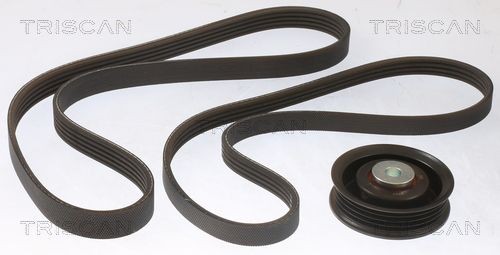 TRISCAN V-Ribbed Belt Set Article number: 8642 10029 cheaply