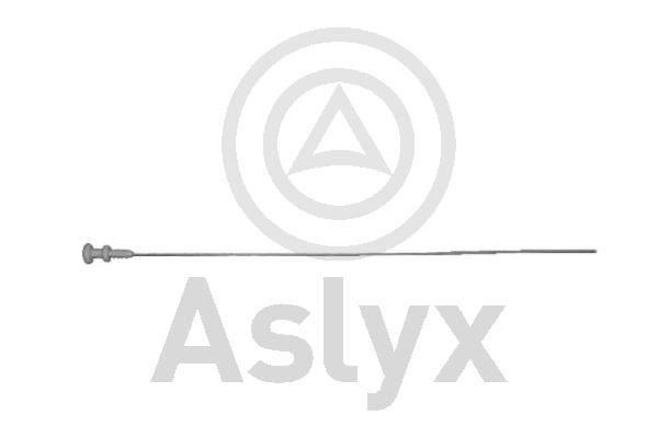 Aslyx Alyvos lygio matuoklis prekės numeris: AS-200743 nebrangu