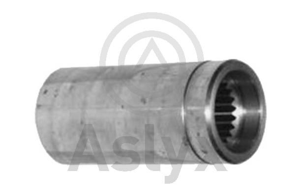 Aslyx AS-202833 Axle Nut, drive shaft MEGANE 1.9 dCi 120 PS Diesel