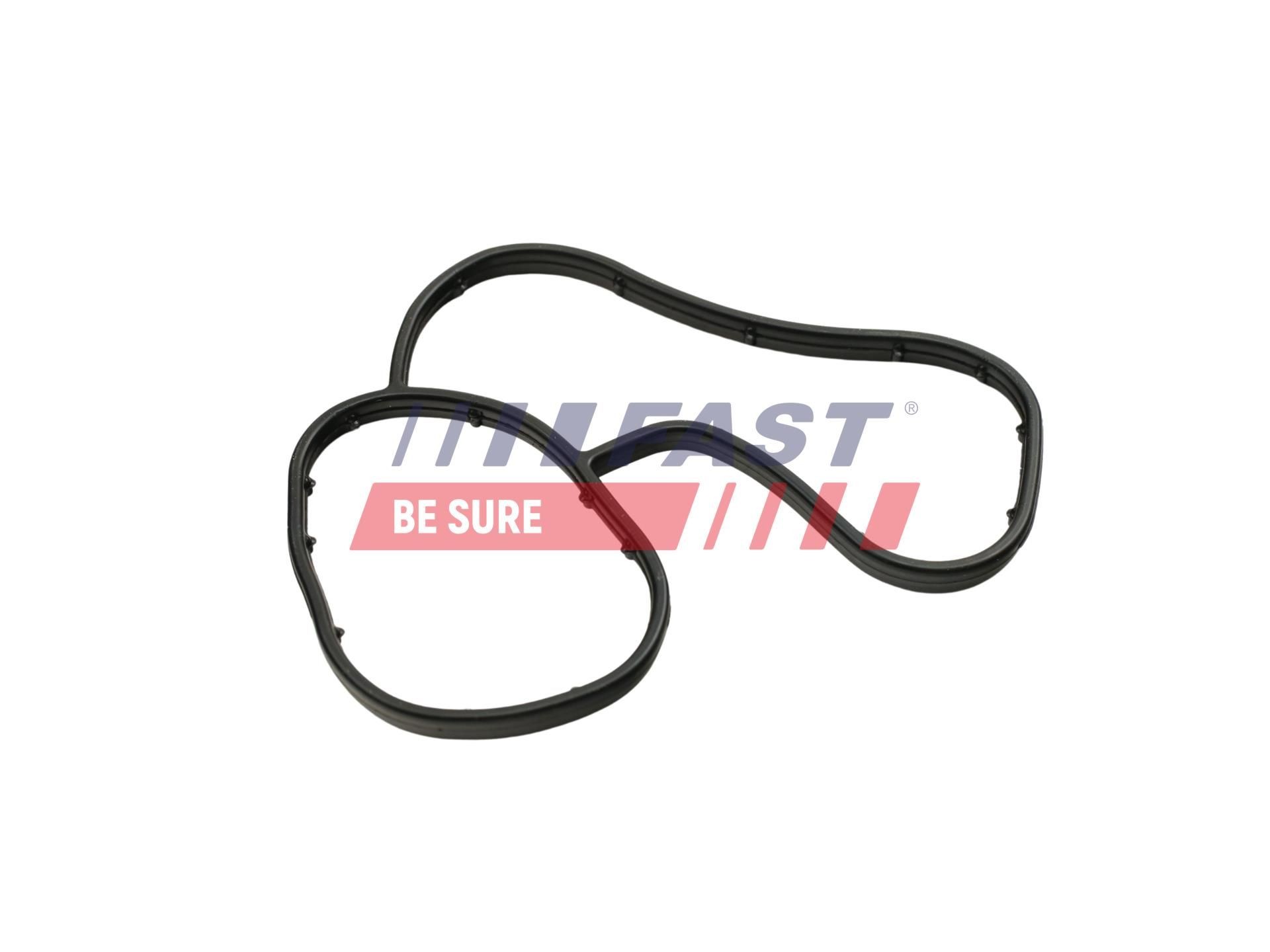 FAST Oil cooler gasket Article number: FT48941 cheaply