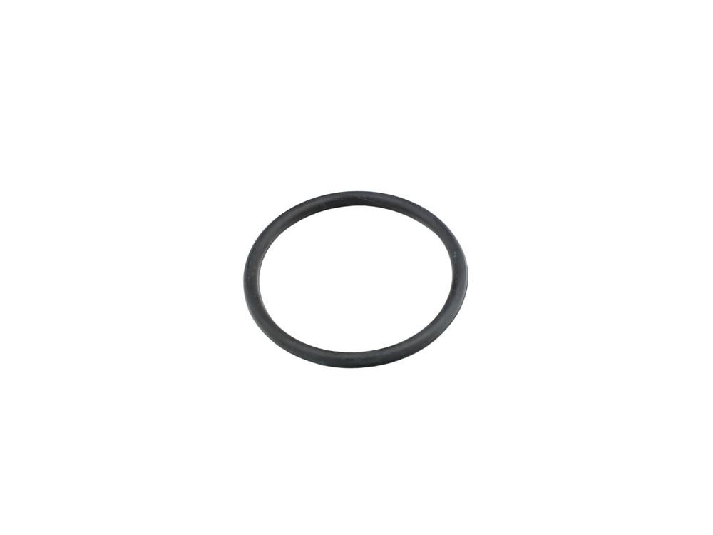 FAST Gasket, thermostat Article number: FT49920 cheaply