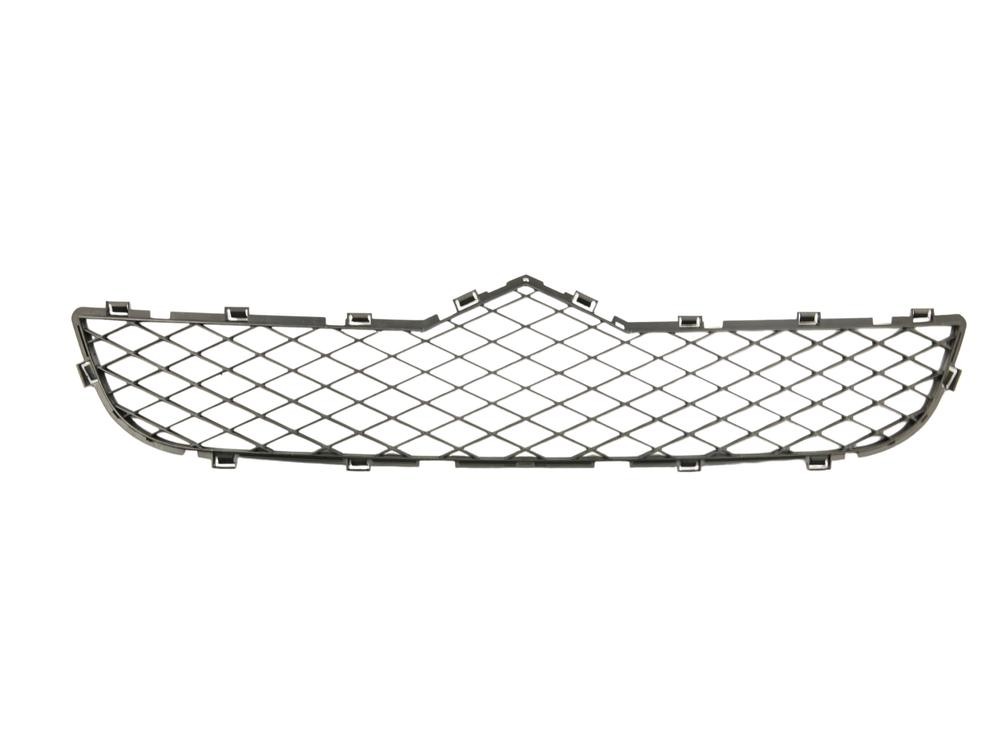 FAST Radiator Grille Article number: FT91601 cheaply