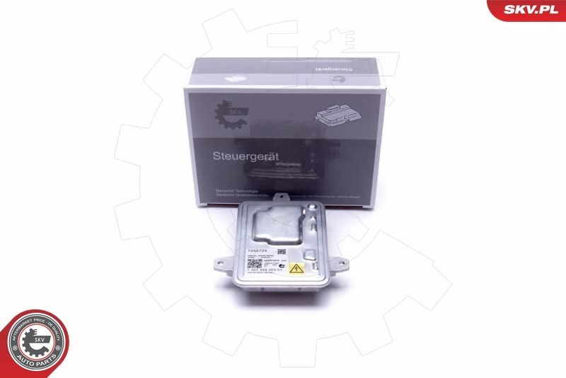 ESEN SKV Control Unit, lights Article number: 59SKV016 cheaply