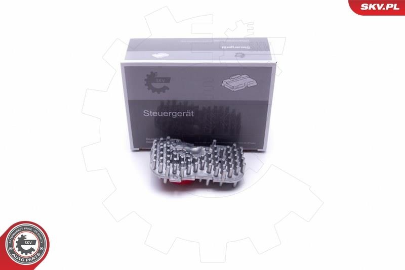 ESEN SKV Control Unit, lights Article number: 59SKV077 cheaply