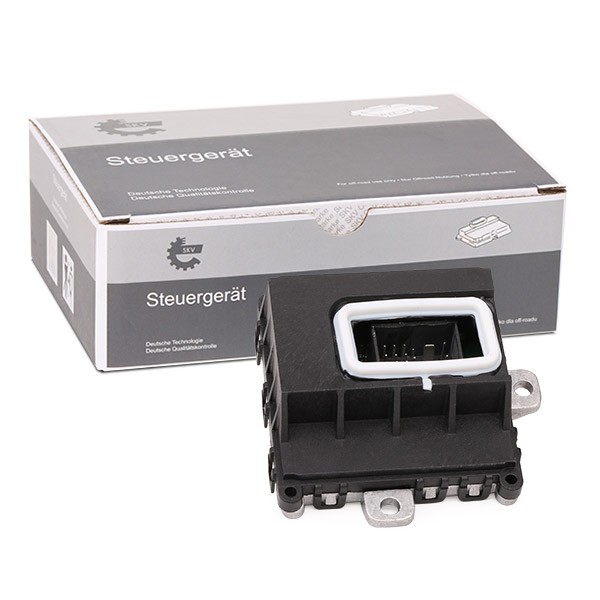 ESEN SKV Control Unit, bend headlight Article number: 59SKV145 cheaply
