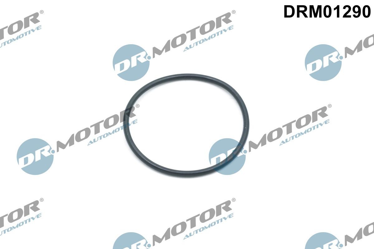 DR.MOTOR AUTOMOTIVE DRM01290 Seal Ring, timing chain tensioner RANGE ROVER VELAR 2.0 D200 MHEV 4x4 204 PS Diesel/Electro