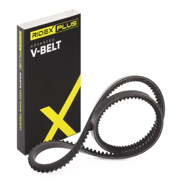 RIDEX PLUS V-Belt Article number: 10C0036P cheaply