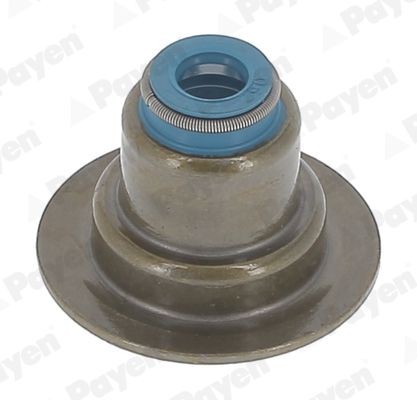 PAYEN Seal Set, valve stem Article number: HR5152 cheaply
