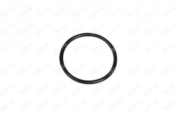IBRAS Seal, turbo air hose Article number: 27980 cheaply