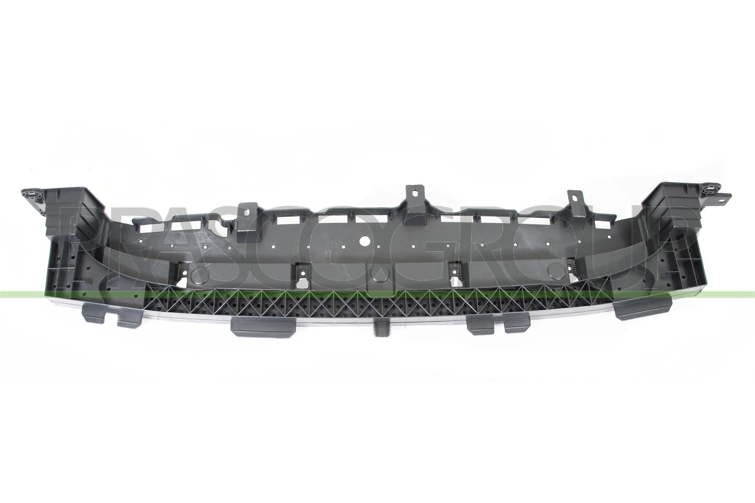 PRASCO CI3301810 Bumper moulding C3 1.2 PureTech (2RHNYH) 131 PS Petrol