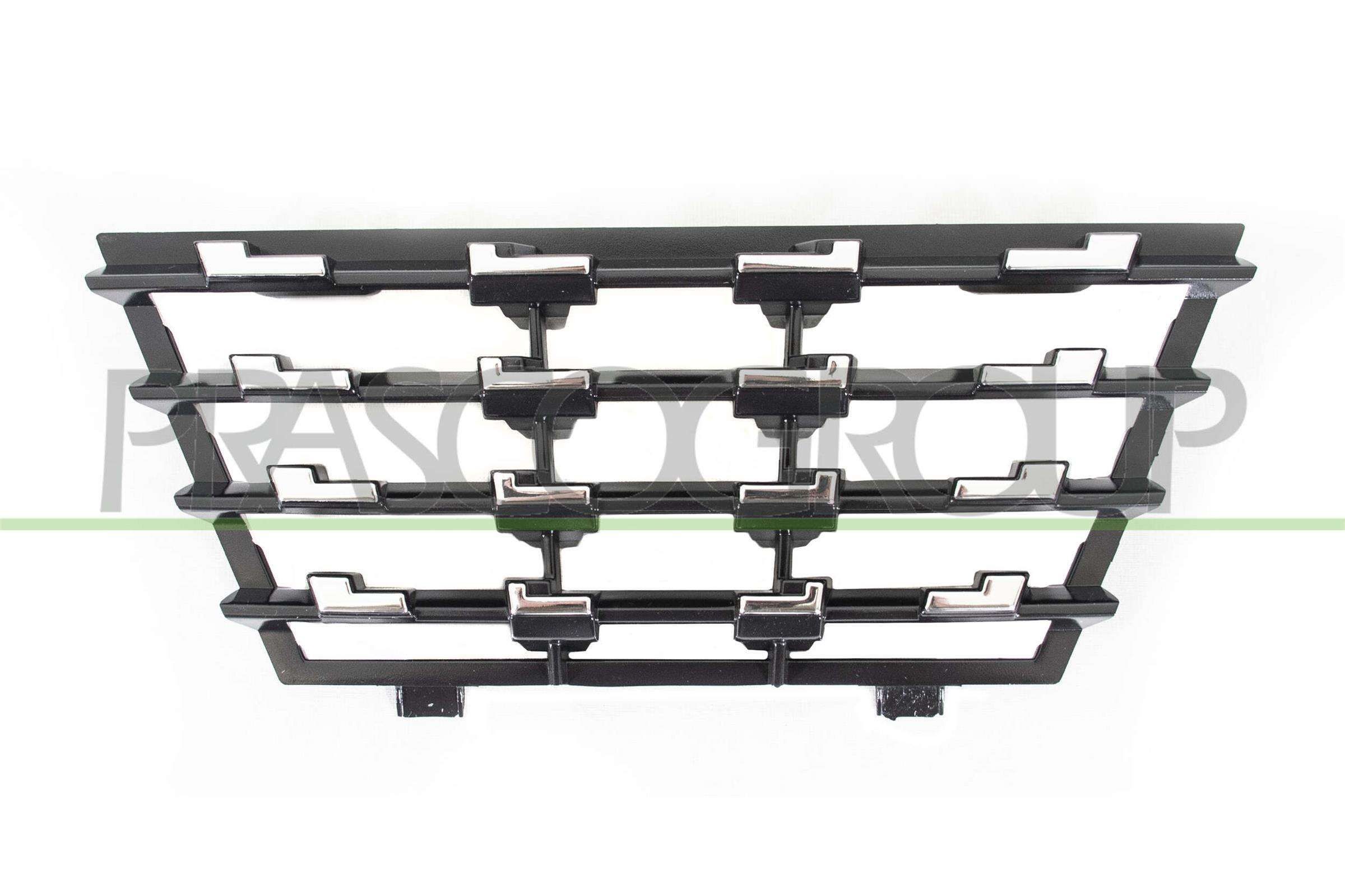PRASCO Radiator Grille Article number: PG3301225 cheaply