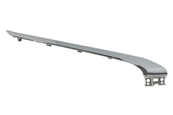 BLIC Bumper moulding Article number: 5703-08-3753374P cheaply