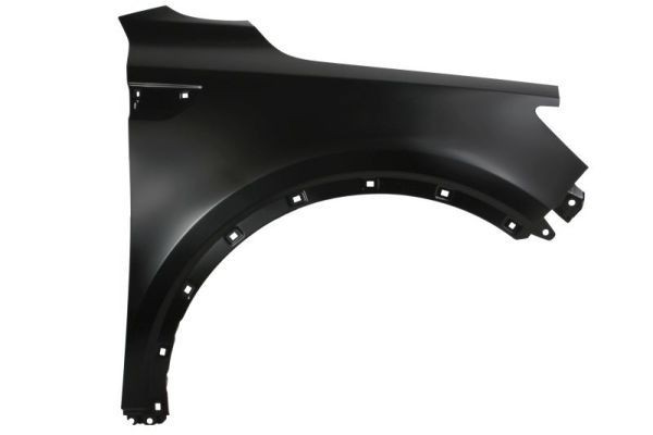 BLIC Wing fender Article number: 6504-04-3289314P cheaply