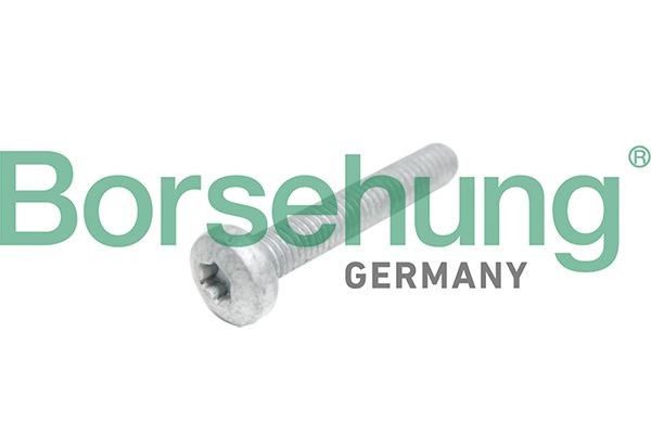 Borsehung Cylinder Head Bolt Article number: B10645 cheaply