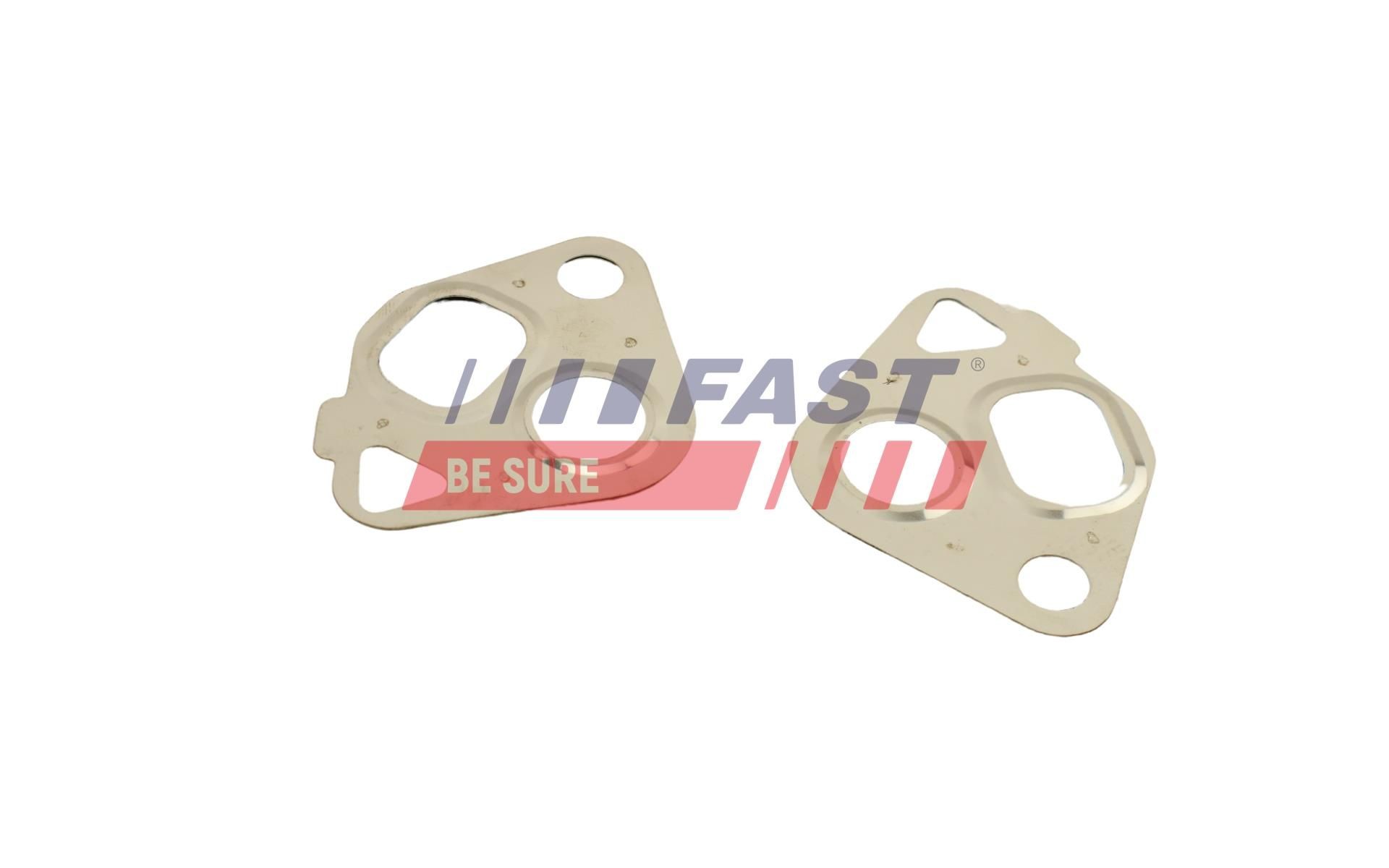 FAST Gasket Set, EGR system Article number: FT50607 cheaply