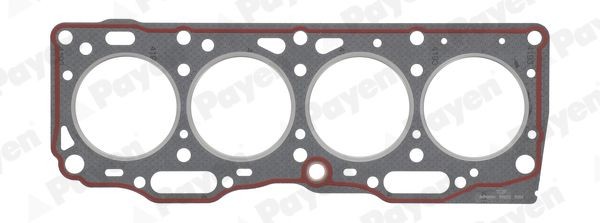 PAYEN Gasket, cylinder head Article number: BR620 cheaply