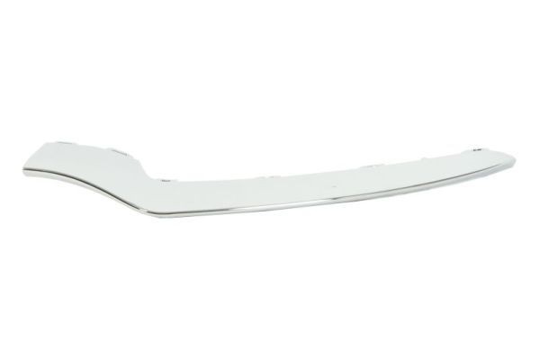 BLIC Bumper moulding Article number: 5703-05-3529929P cheaply