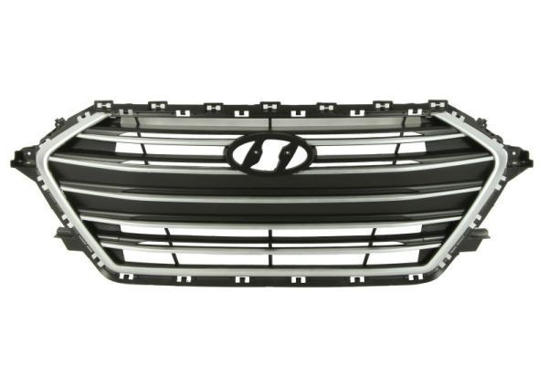 BLIC Radiator Grille Article number: 6502-07-3172990P cheaply