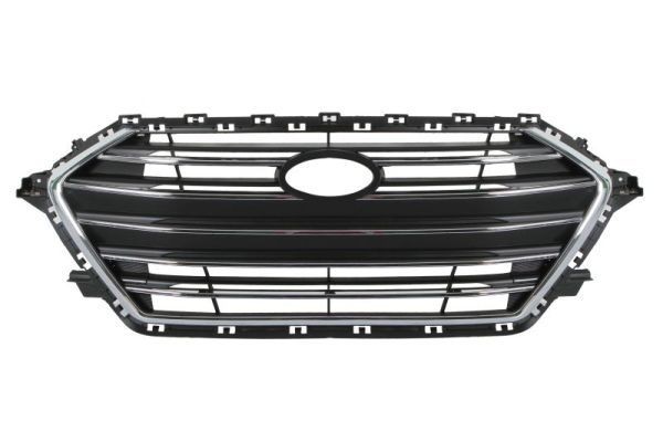 BLIC Radiator Grille Article number: 6502-07-3172991P cheaply