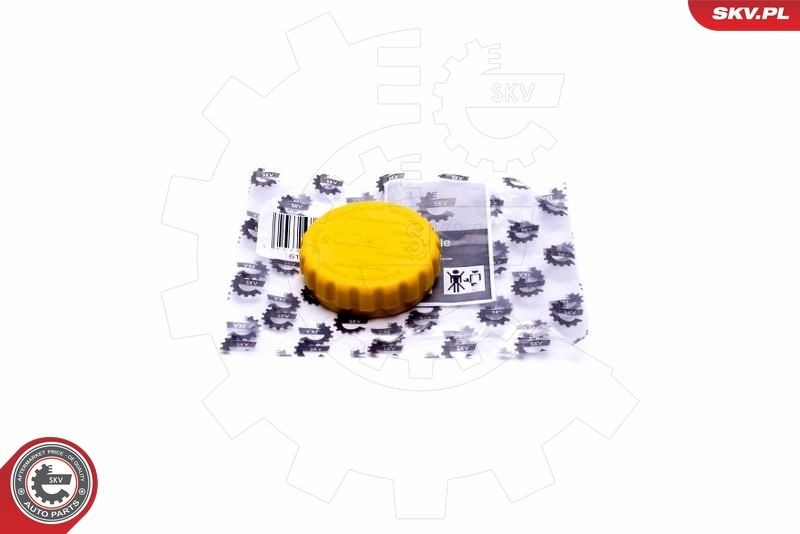 ESEN SKV Expansion tank cap Article number: 61SKV020 cheaply