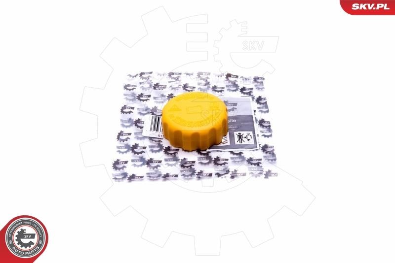 ESEN SKV Expansion tank cap Article number: 61SKV021 cheaply