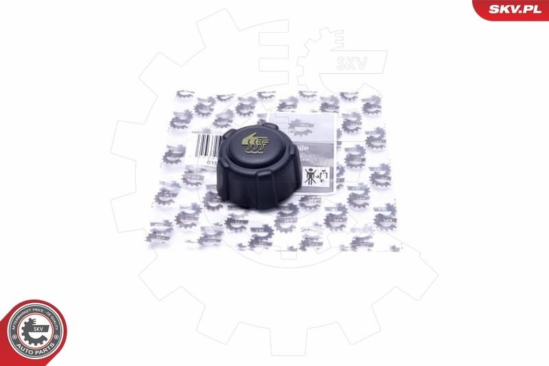 ESEN SKV Expansion tank cap Article number: 61SKV027 cheaply