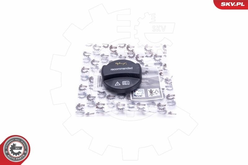 ESEN SKV 61SKV035 Lukk, õlitäite ühendustoru LT 2.3 143 HP Bensiin 2006
