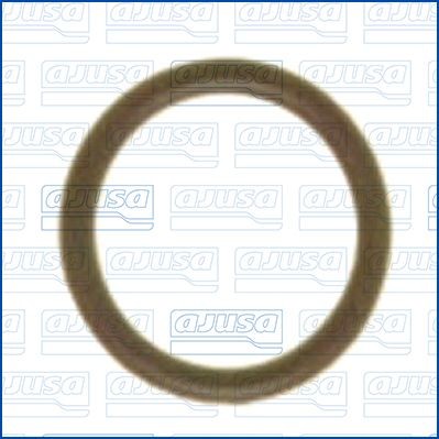 AJUSA Seal Ring, coolant tube Article number: 16076800 cheaply
