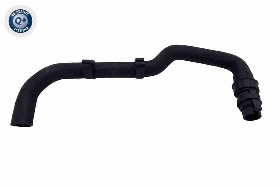 VAICO Radiator hose Article number: V42-1028 cheaply