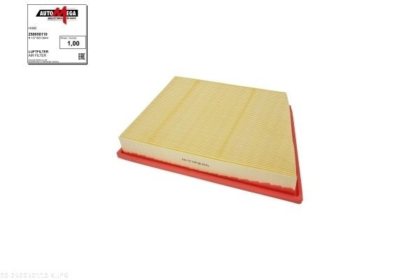 AUTOMEGA Air filter Article number: 250050110 cheaply