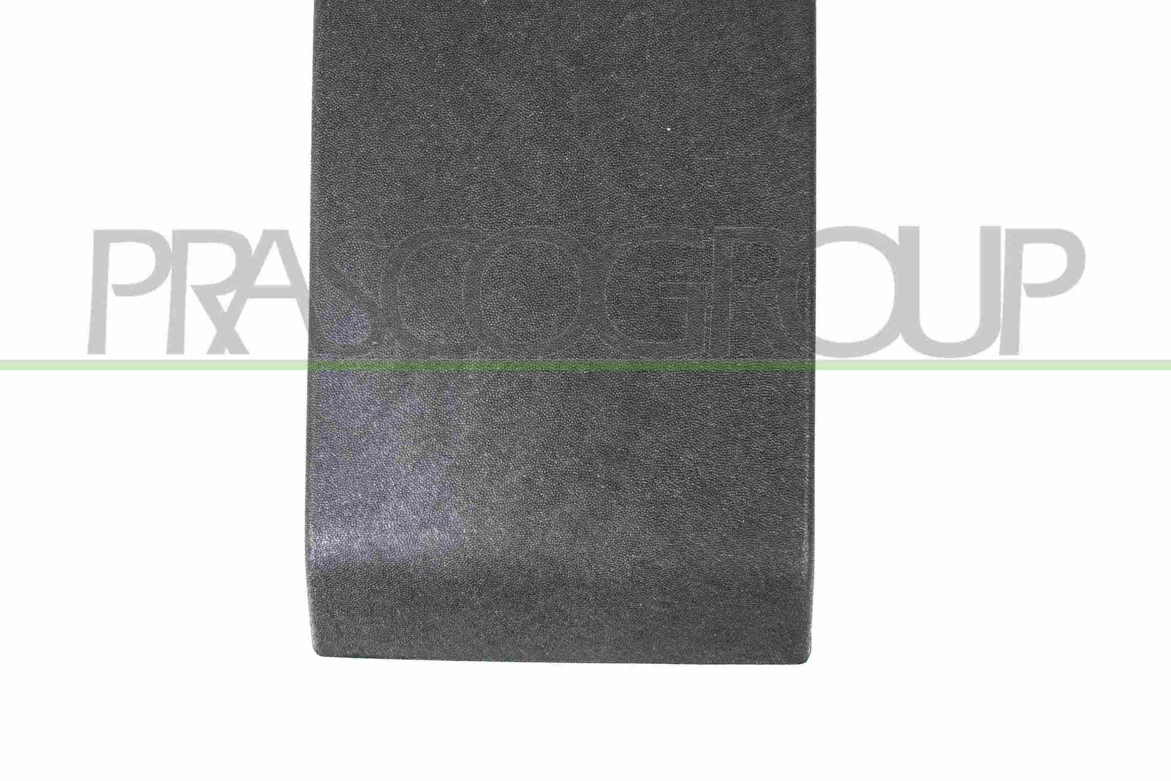 OEM Ehis- / kaitseliist, külg RN9541415 pärit PRASCO