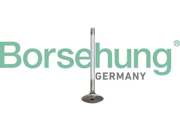 Borsehung Piston Ring Kit Article number: B10345 cheaply