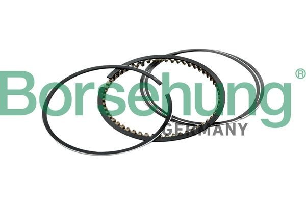 Borsehung Piston Ring Kit Article number: B10367 cheaply
