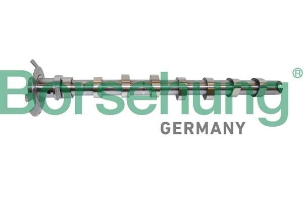 Borsehung Knastaksel Varenummer: B11321 billige