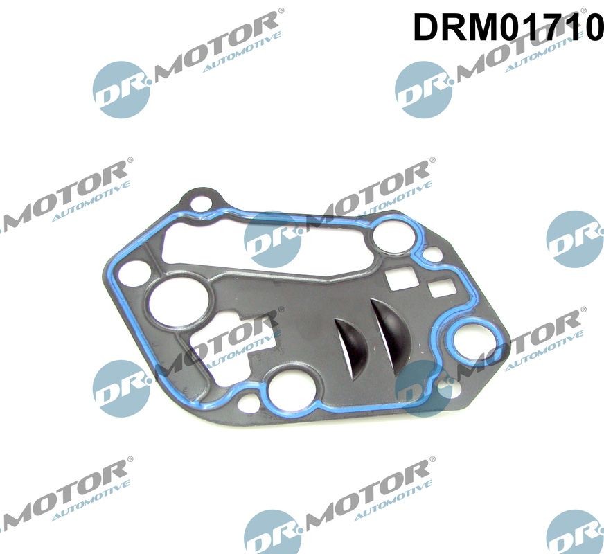 DR.MOTOR AUTOMOTIVE Tihend,õlifiltrikorpus Artikli number: DRM01710 soodsalt