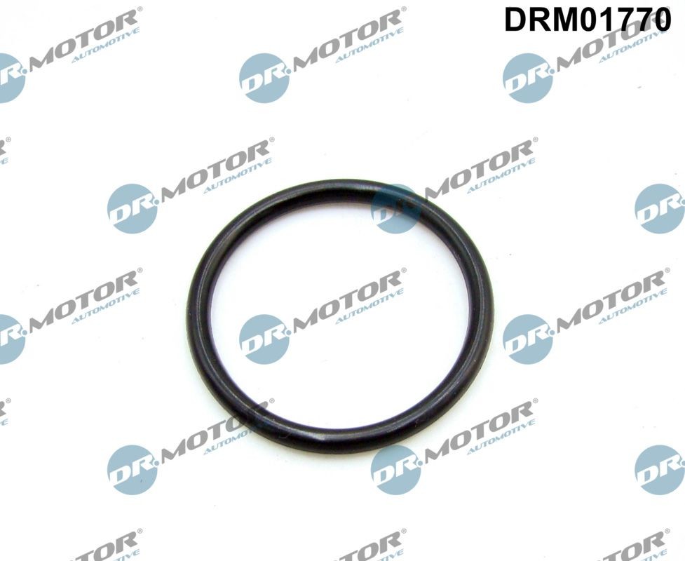 DR.MOTOR AUTOMOTIVE Inlet manifold gasket Article number: DRM01770 cheaply