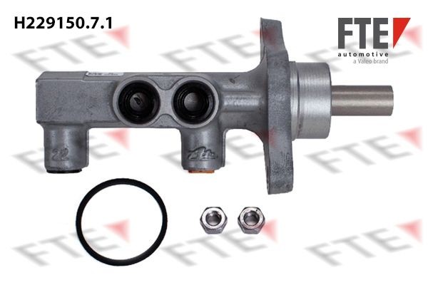 FTE Peapiduri silinder Artikli number: 9220196 soodsalt
