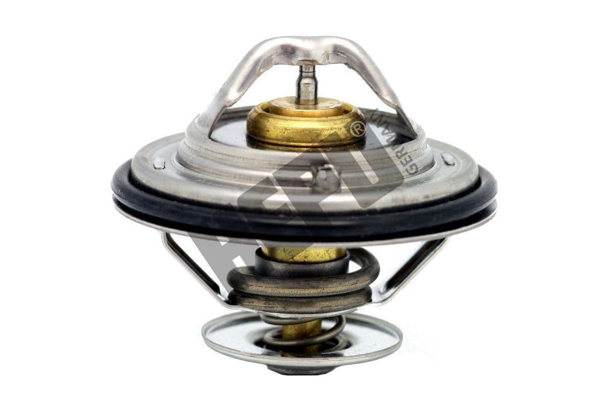 HEPU Thermostat Article number: TM1312 cheaply