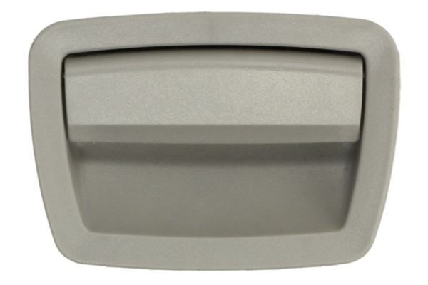 BLIC Glove Compartment Lock Article number: 6010-05-0102418GP cheaply