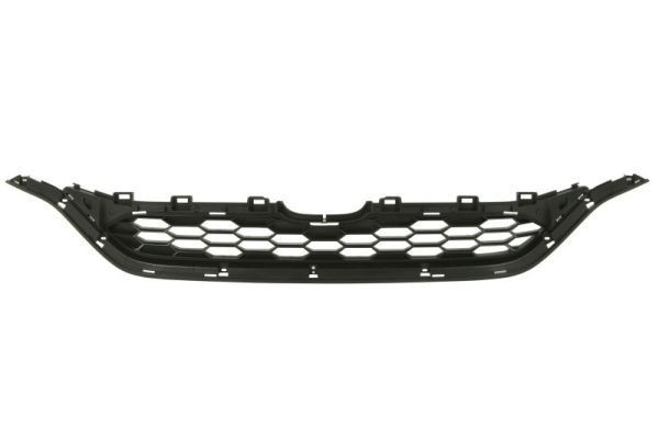 BLIC Radiator Grille Article number: 6502-07-2958995P cheaply