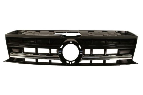 BLIC Radiator Grille Article number: 6502-07-9595990P cheaply