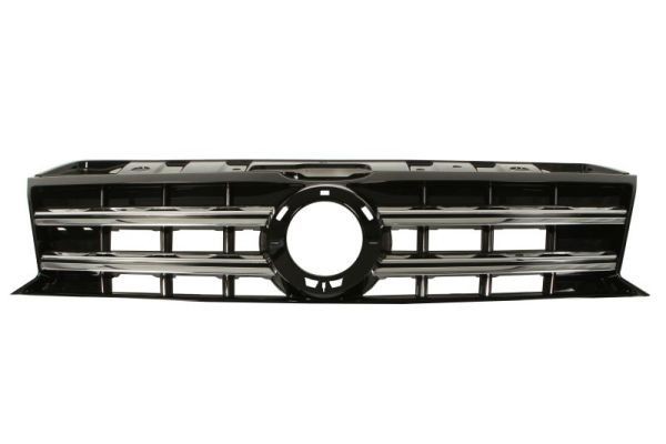 BLIC Radiator Grille Article number: 6502-07-9595991P cheaply