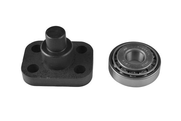 TEDGUM TED52917 Kit de réparation, fusée d'essieu JIMNY 1.5 DDiS 4x4 86 CH Diesel