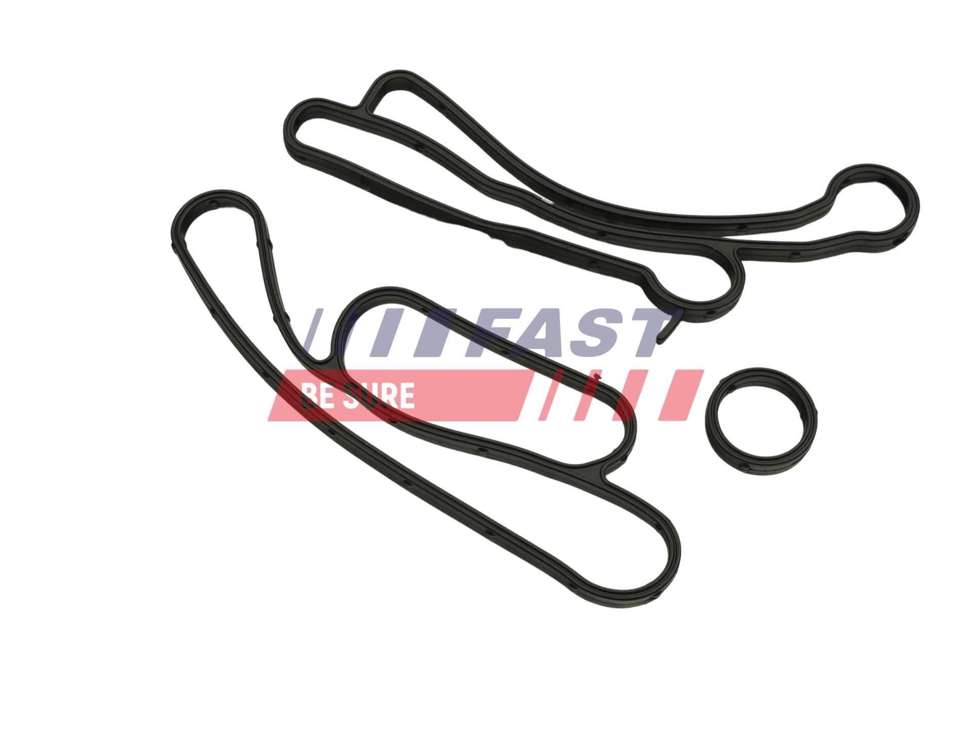 FAST Seal Ring, oil outlet (charger) Article number: FT48811 cheaply