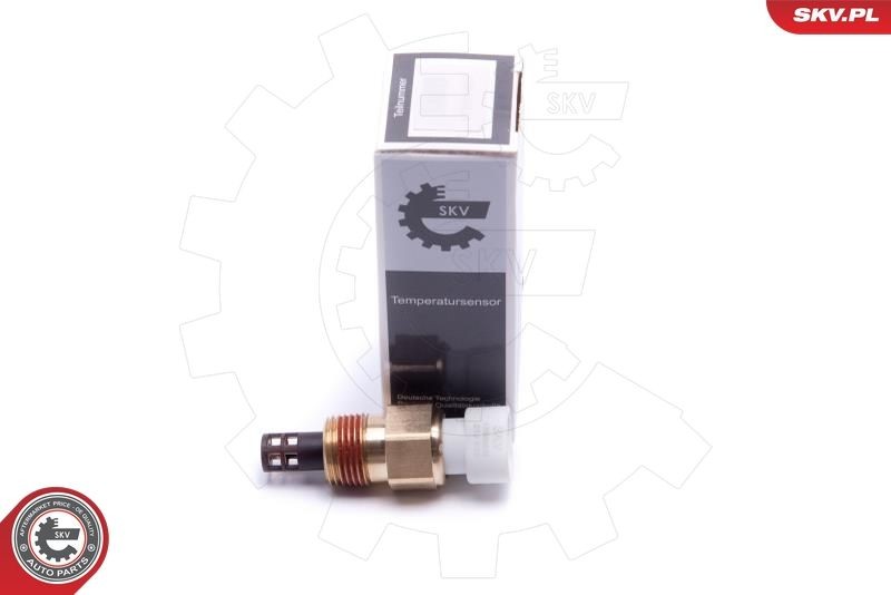 ESEN SKV Sender Unit, intake air temperature Article number: 17SKV678 cheaply